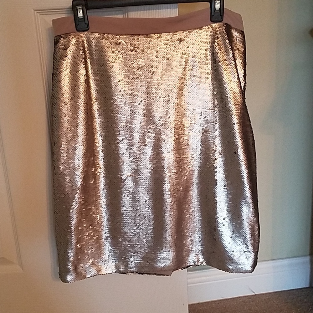 Sequin skirt